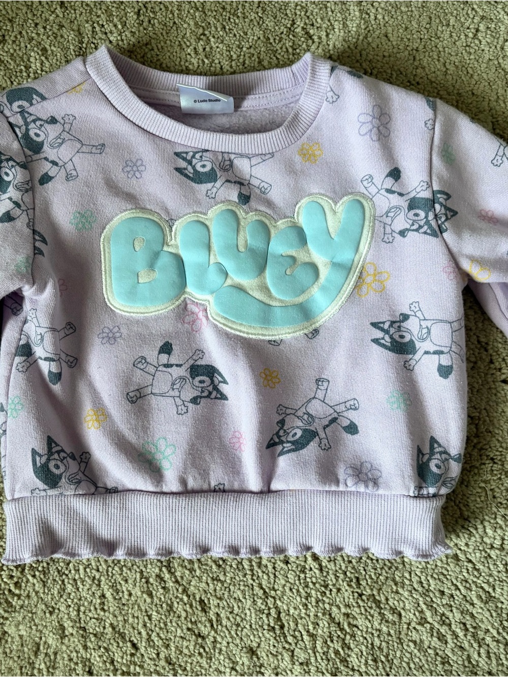 Lilac Bluey Pullover Sweatshirt for Kids with Aqua Applique